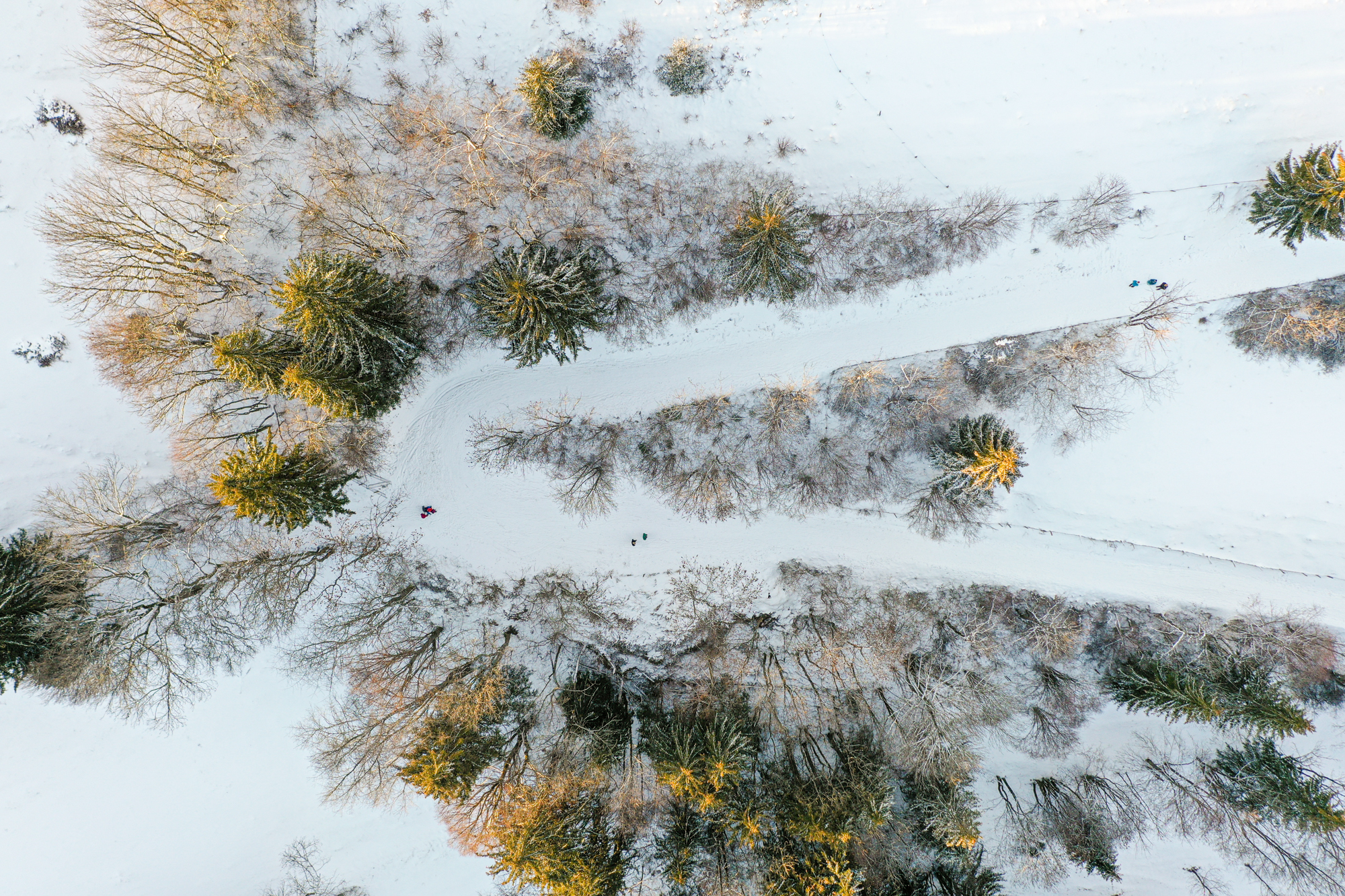 Paysage avec de la neige fait avec un drone