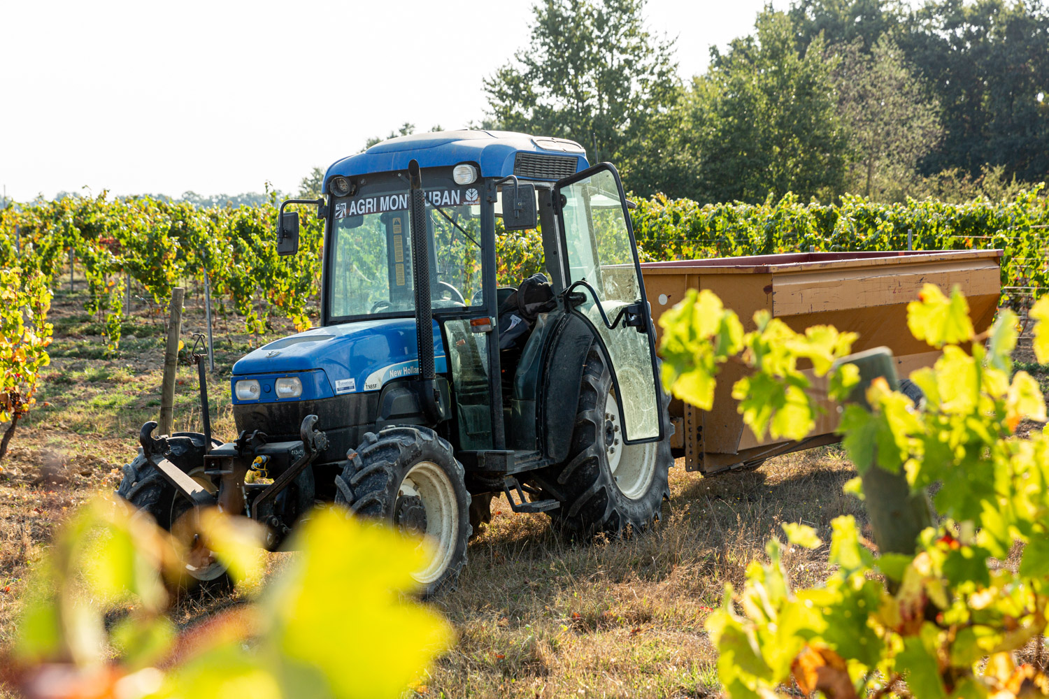 Un tracteur dans un champs et des vignes. Reportage agricole