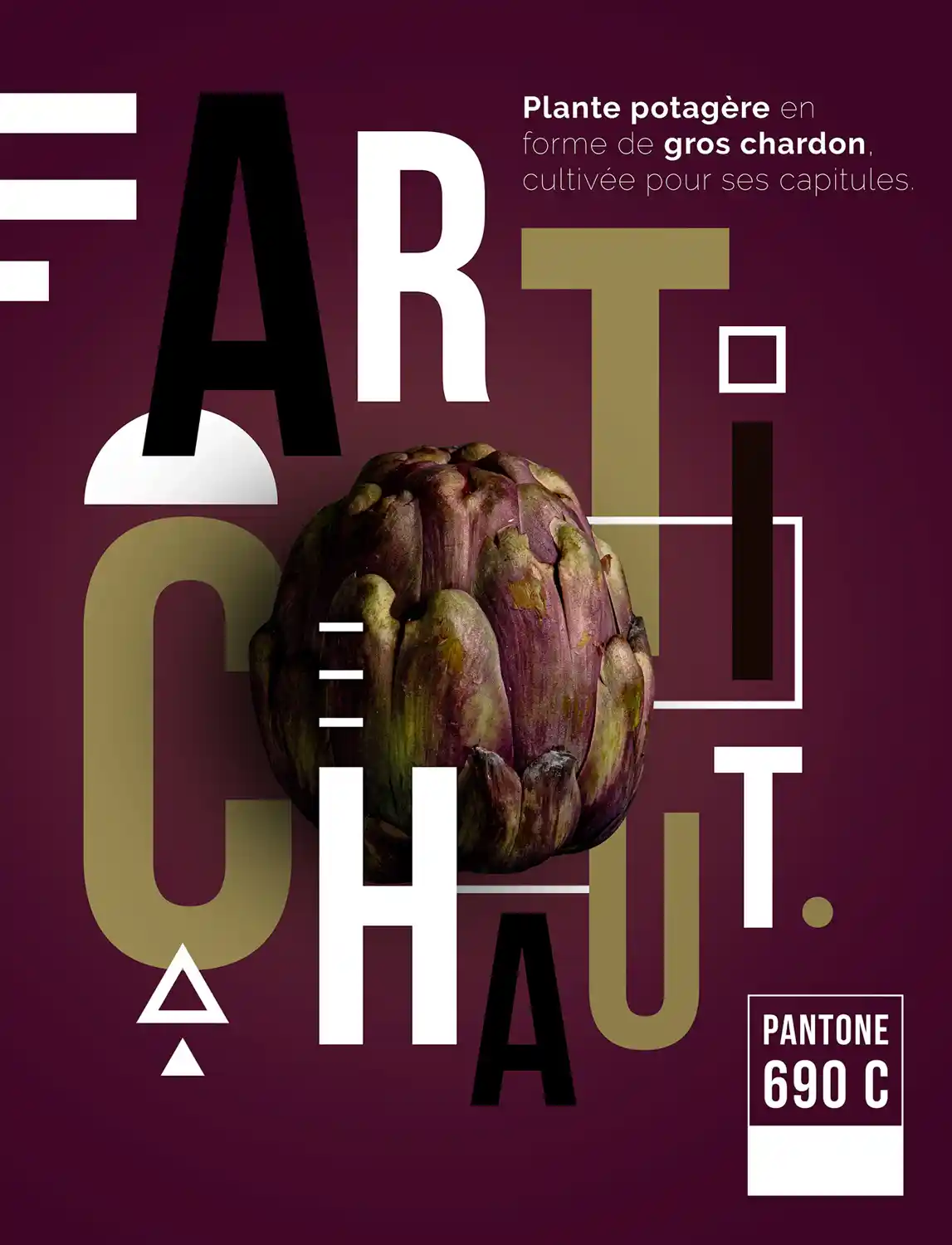 Photographie culinaire affiche d'artichaut 